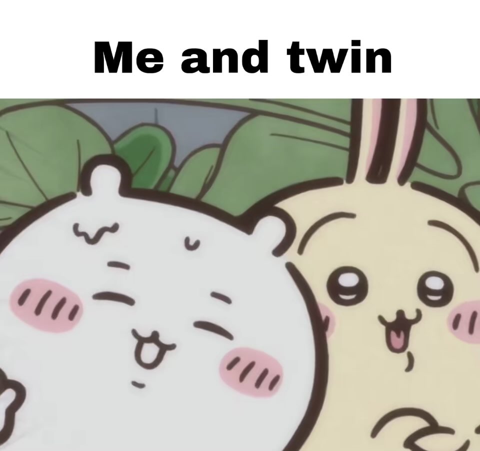 usagi (@usagidarabbit) on Twitter photo 