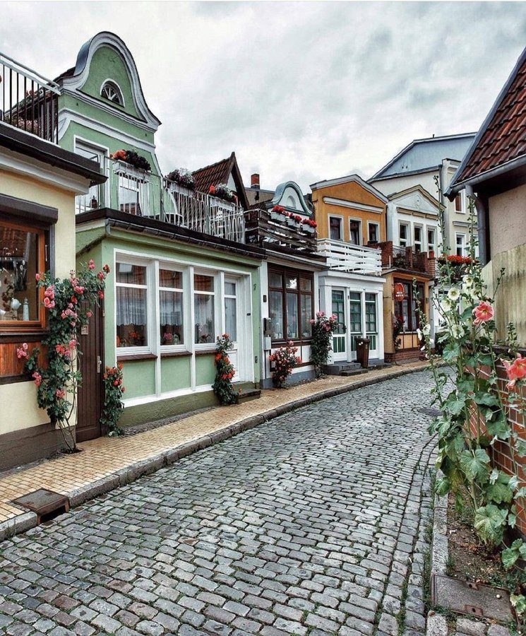 Pato Bonato tweet media