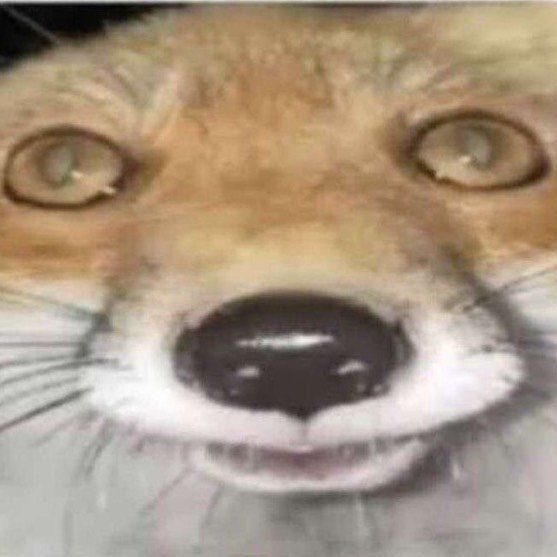 blackvulp's tweet photo. @NecolashVEVO @AlexGlexden https://t.co/Q5Q9XKqjV8