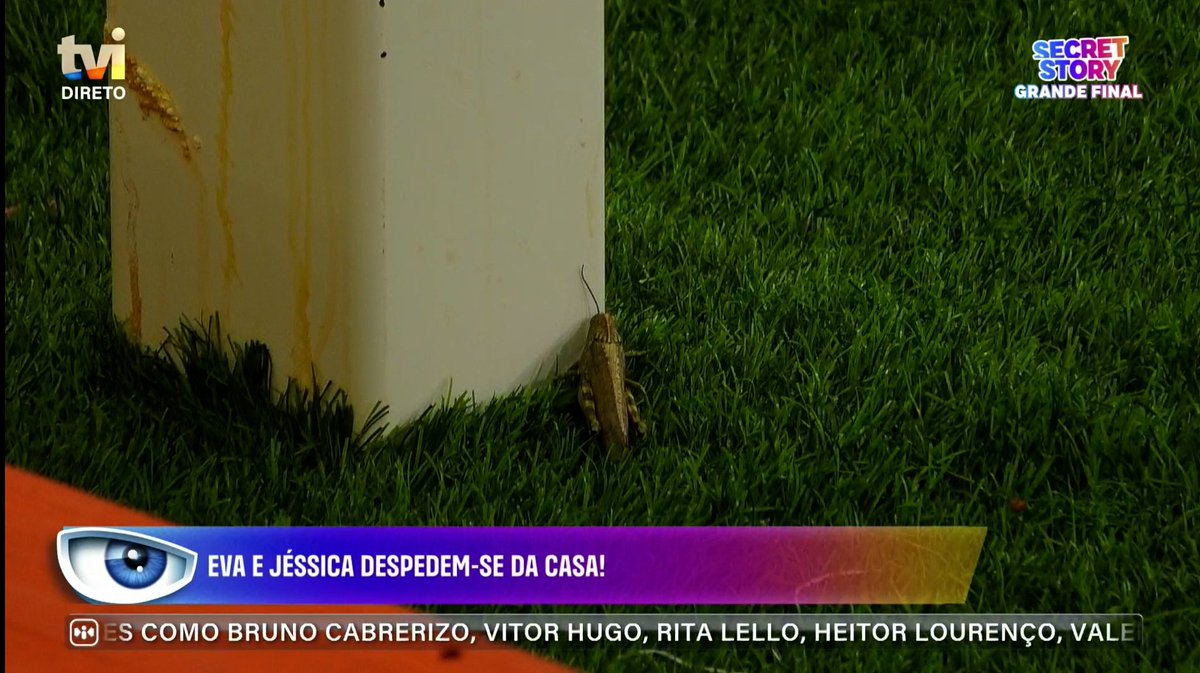 Márcio Pereira tweet media