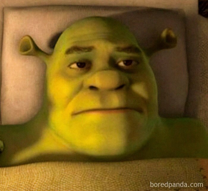 Willy Alex tweet media