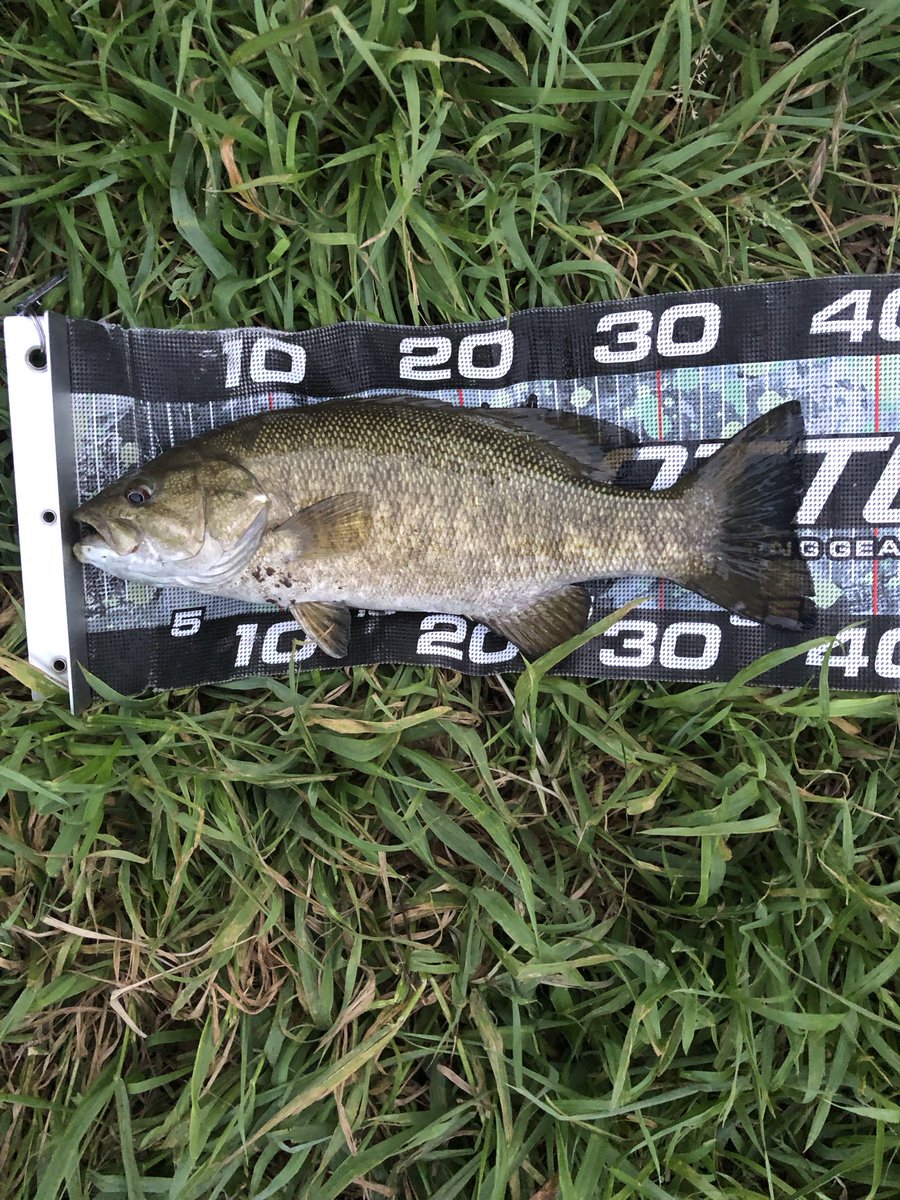 さかつ tweet media