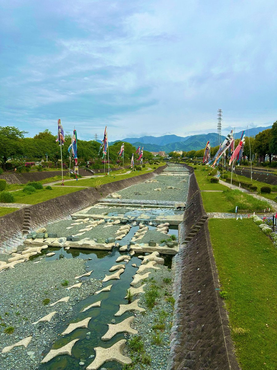 。。はだのねこ 。。 tweet media