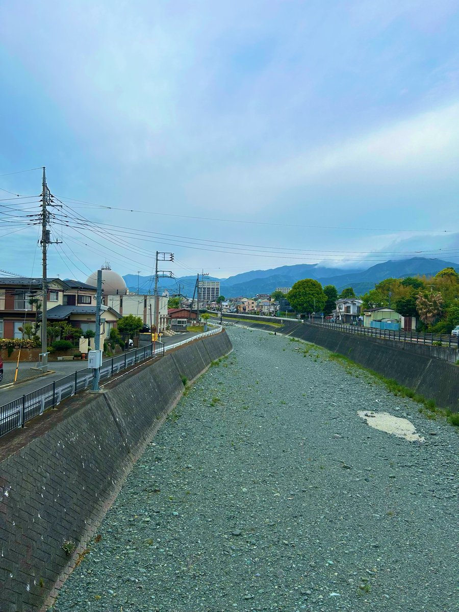 。。はだのねこ 。。 tweet media