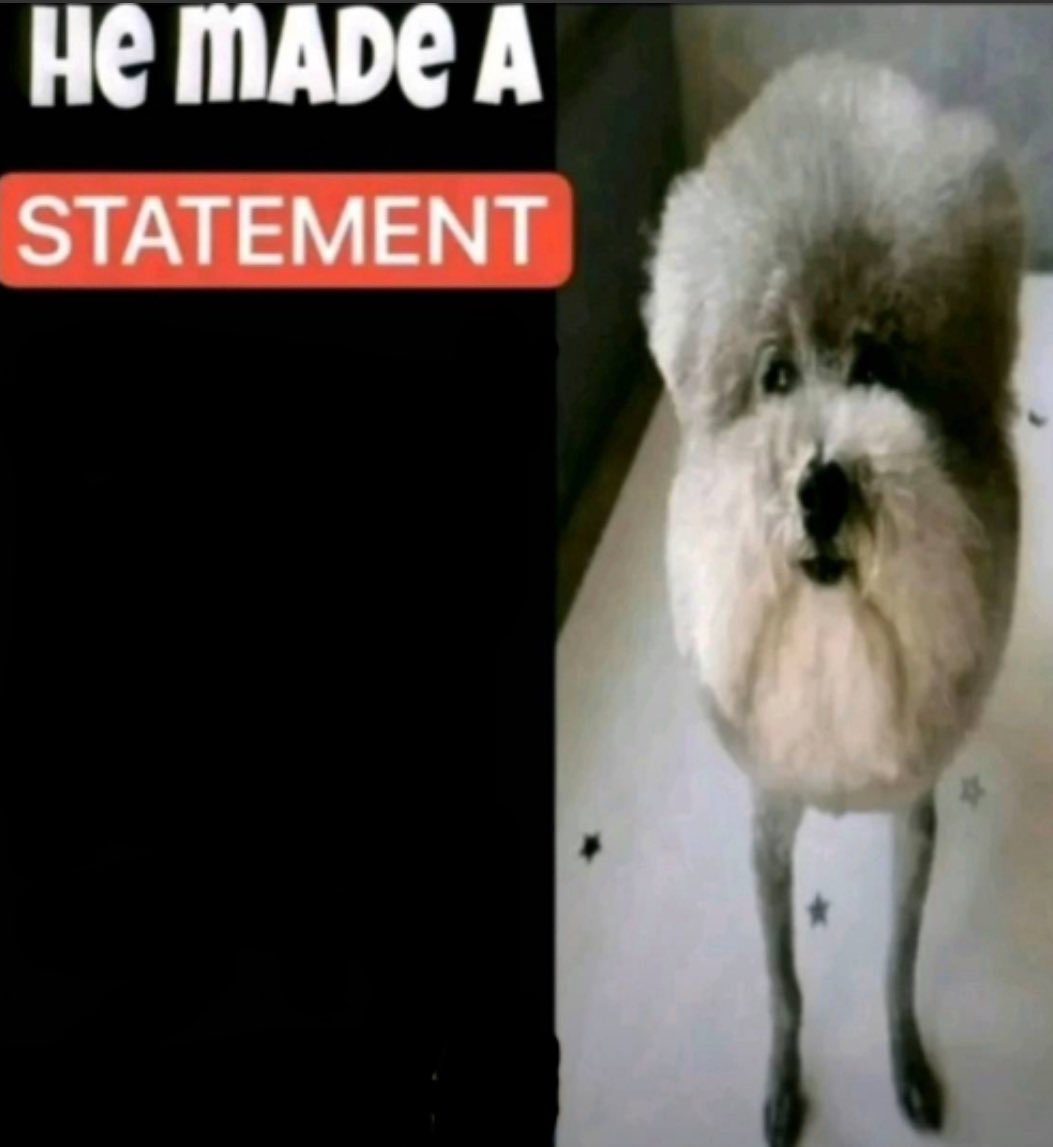 Statement Dog tweet media