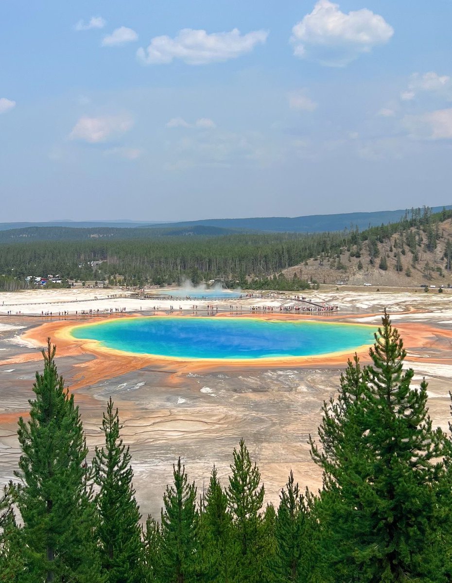 Danielle Franz tweet media