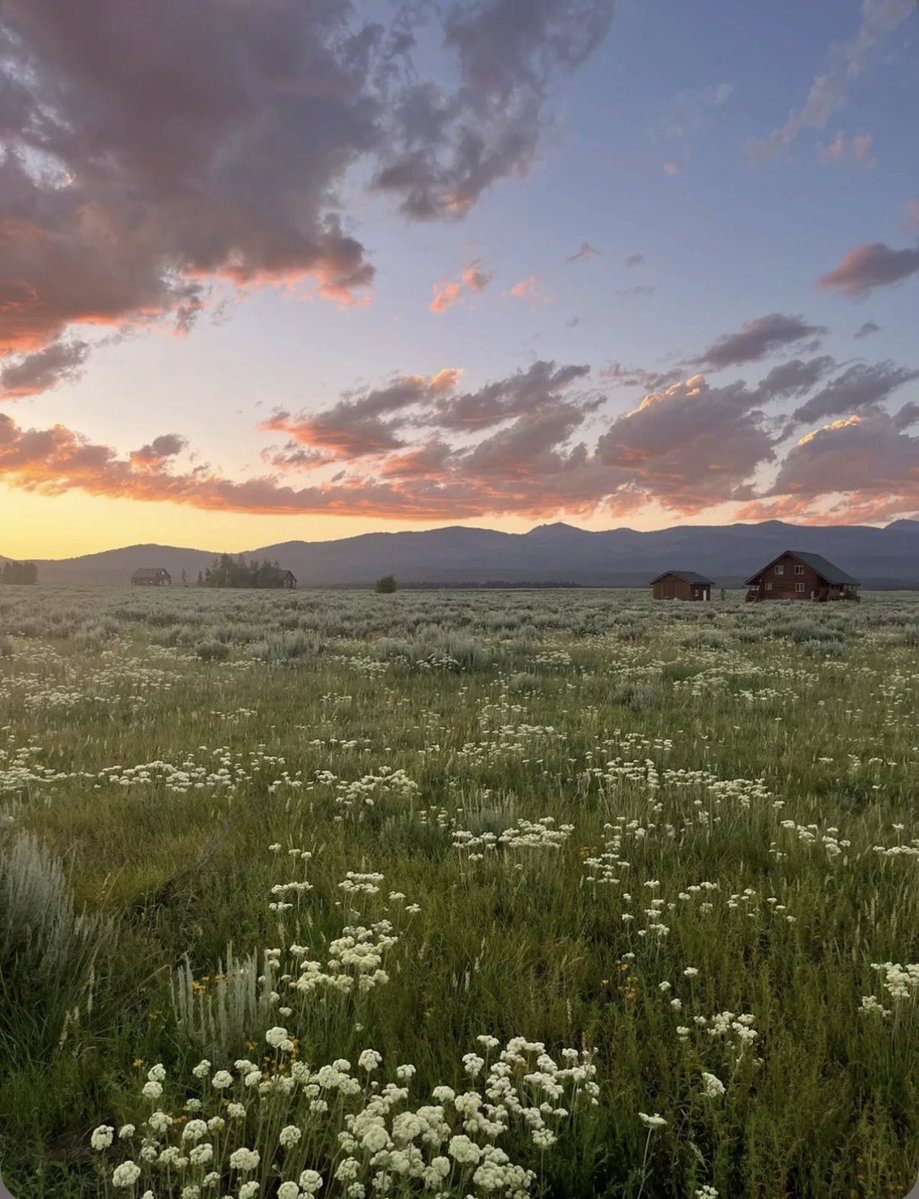 Danielle Franz tweet media