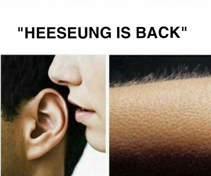 lari | enhypen is 7 tweet media