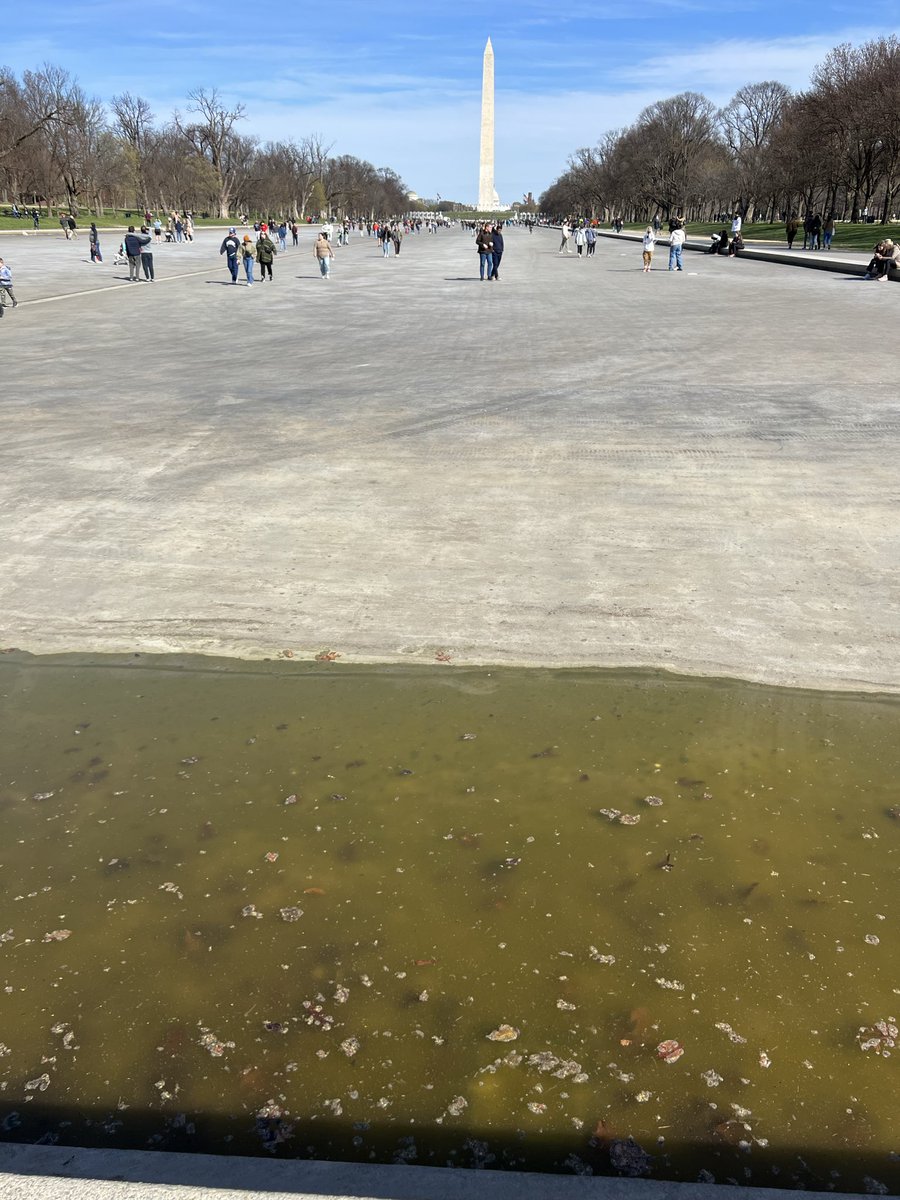 emily miller tweet media