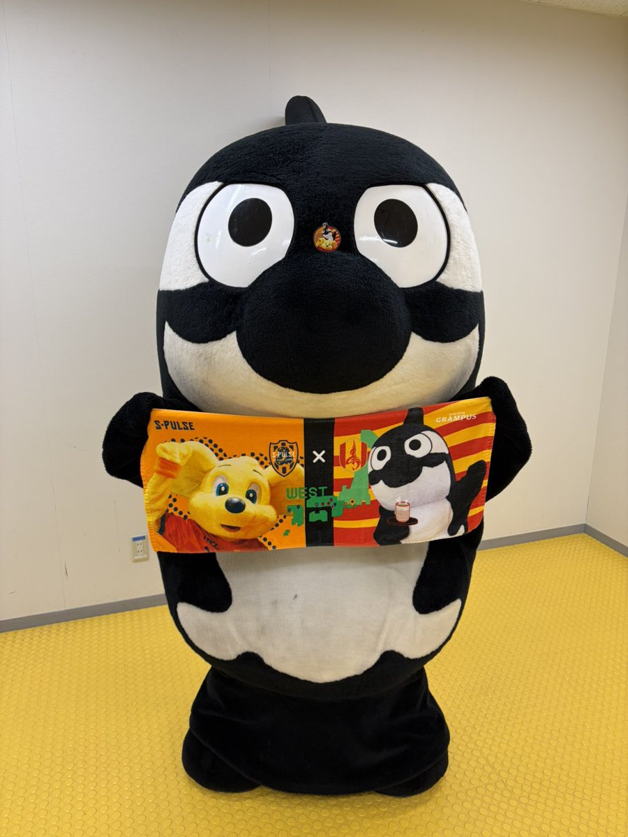 グランパスくん tweet media