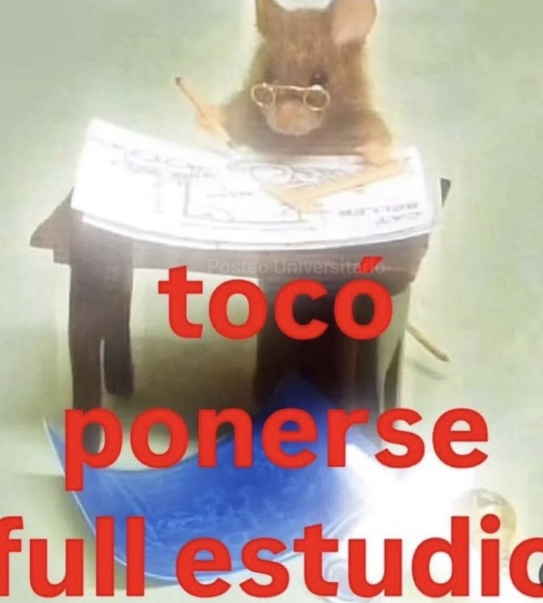 Mi situación actual: