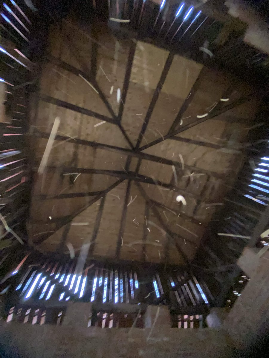 nightmare_io34's tweet image. Bro I just love #urbex, anyways I have aspestos in my lungs. OwO 

These are photos that @EMiccis took with me. 
#urbex #abandoned #owo