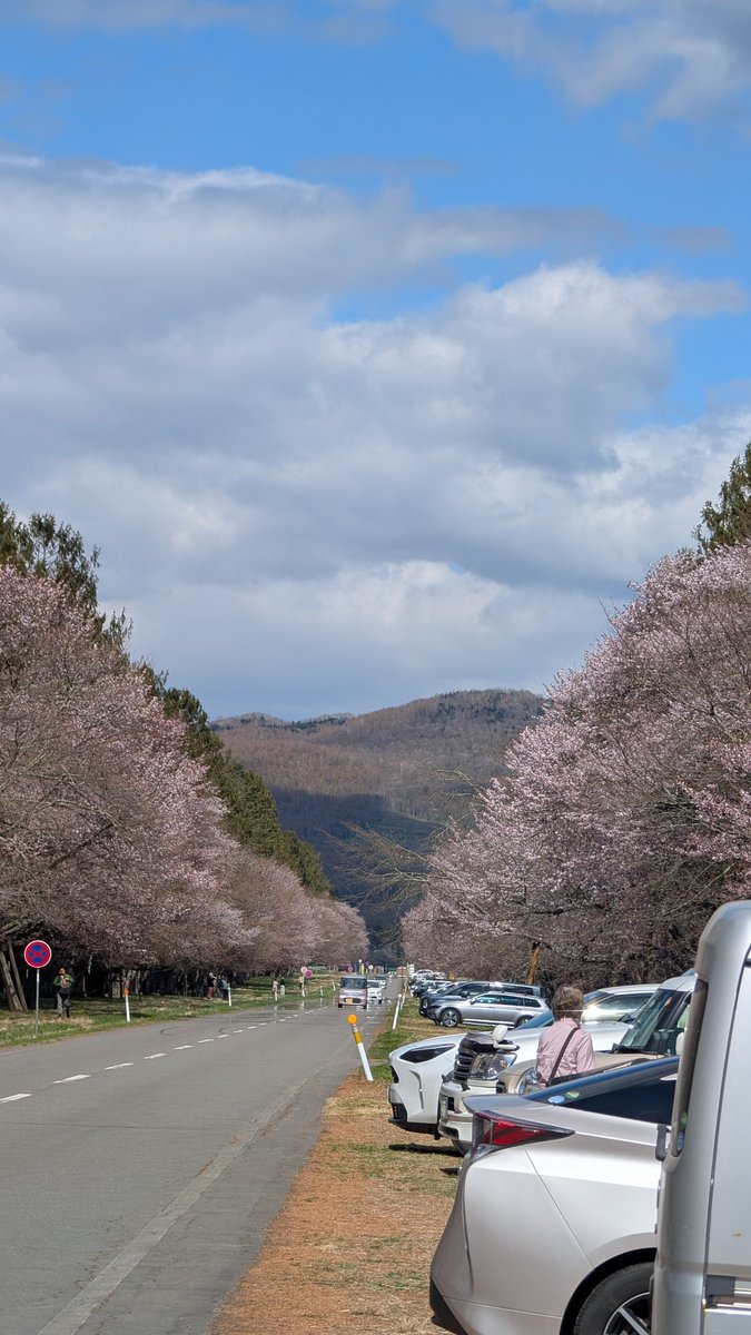 かち乃ちのら　イラストレーター tweet media