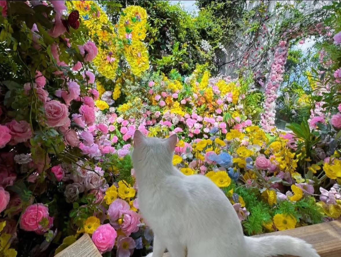 𝑙𝑦𝑟𝑎 tweet media