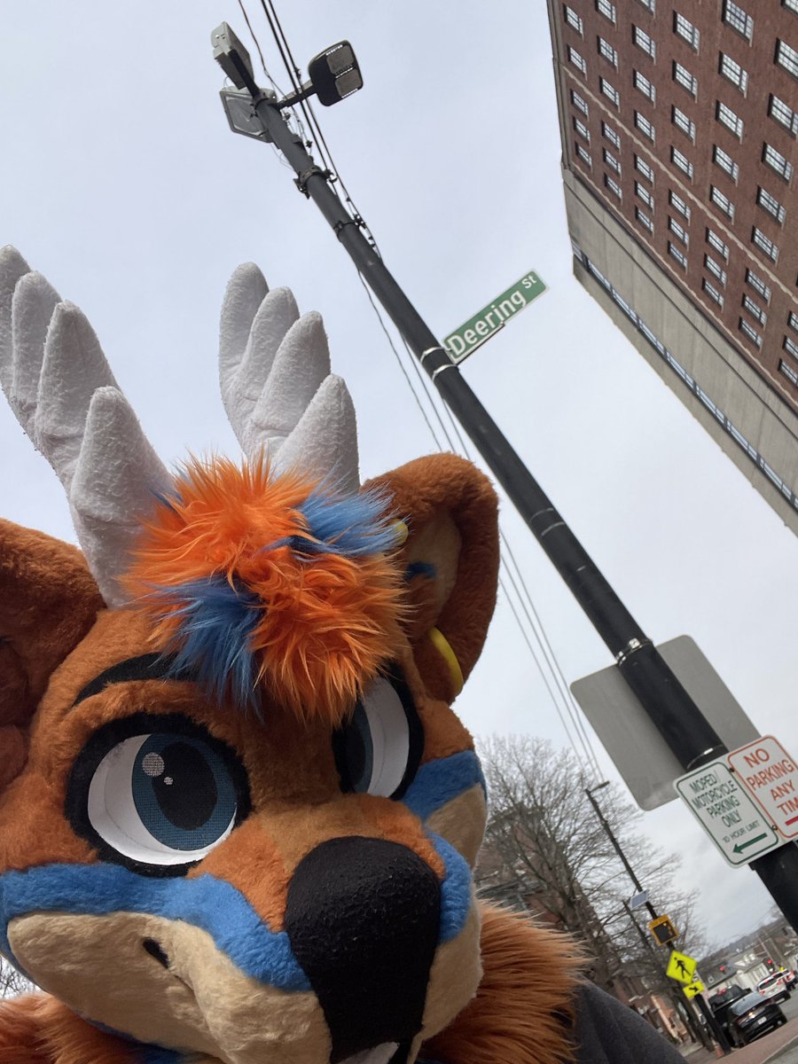 Pine! 🌲 🔜 FWA, AC tweet media