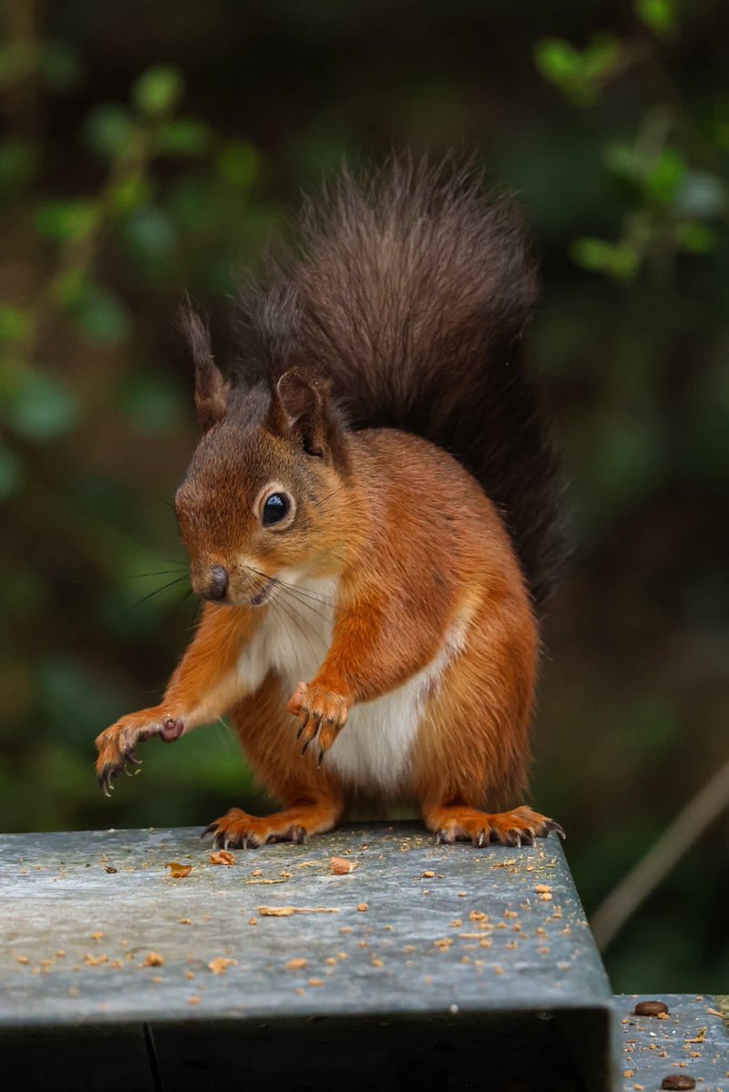 This is Ireland 🇮🇪☘️ tweet media