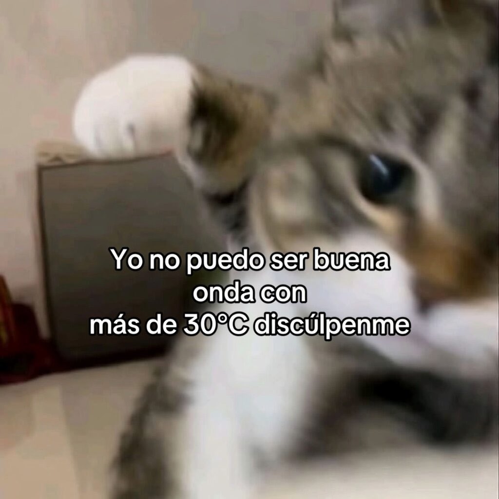 🖤🐈‍⬛ Lord Byron Ochoa 🐈‍⬛🖤 tweet media