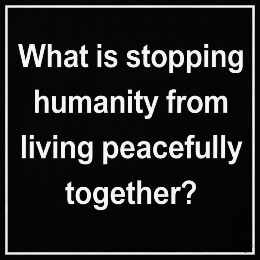 Olivia 🇺🇸 tweet media