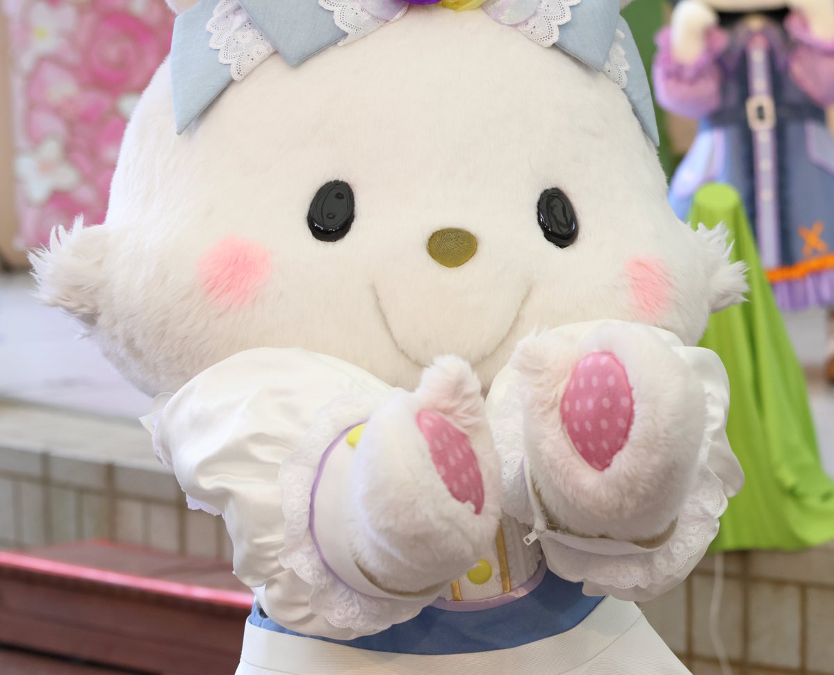 ぱちぇ tweet media