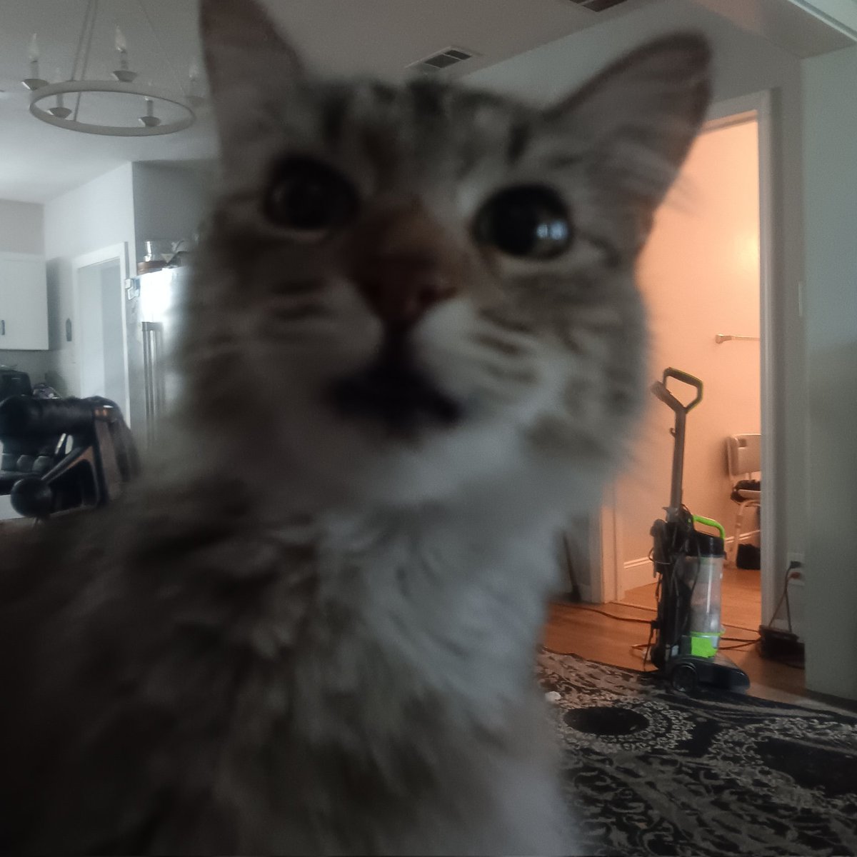 JimBob501 tweet media