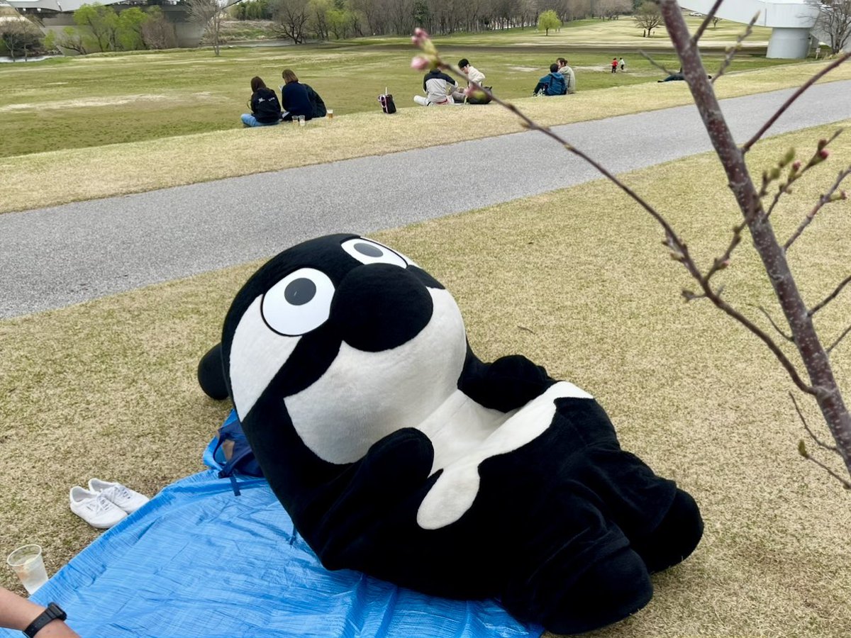 ˎ₍•ʚ•₎ˏ tweet media