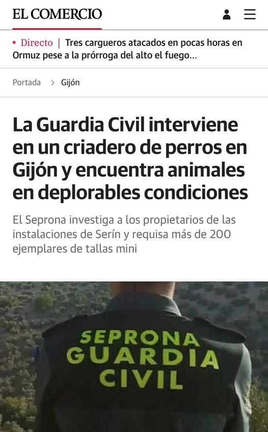 Roma traditoribus non praemiat tweet media