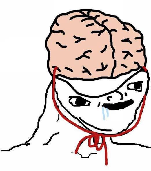 Ubbe 🇲🇽 tweet media