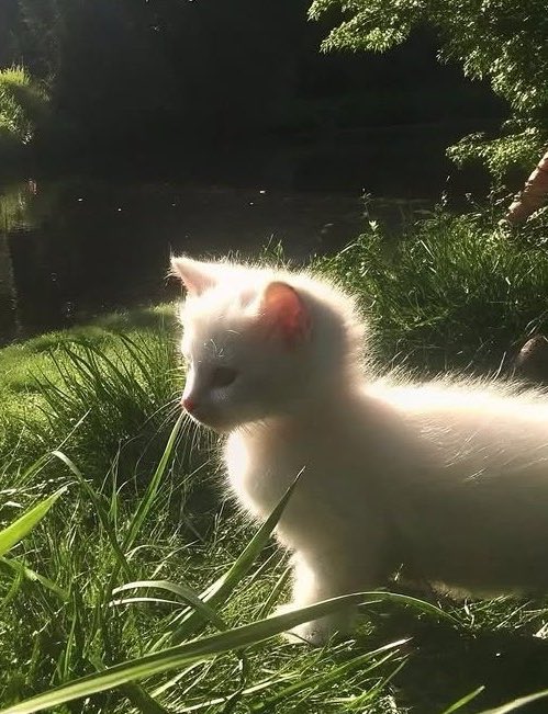 둘 다 너무 귀엽네ㅋㅋ🤣🤣🤣

#태민 #TAEMIN #テミン #泰民