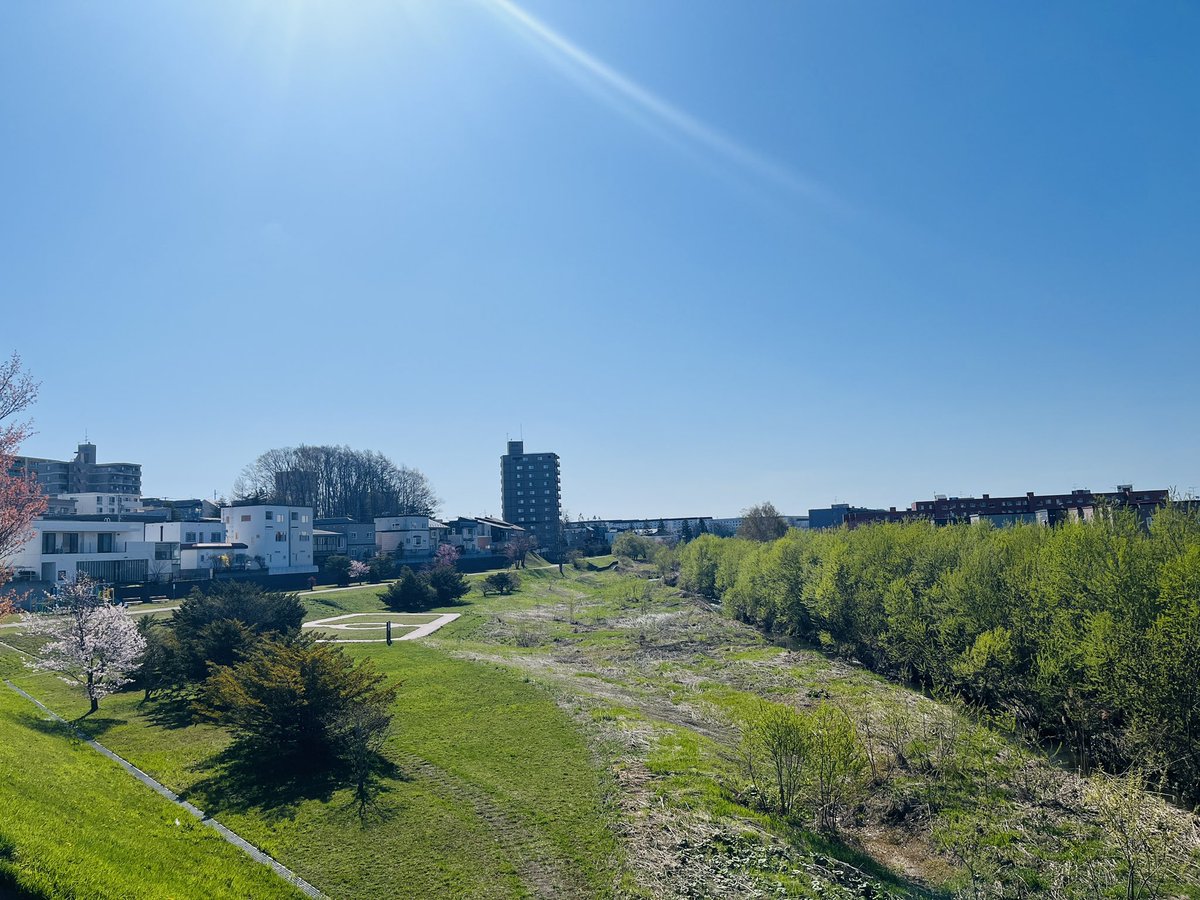 白藤沙織 Webディレクター（歌と踊りとお芝居が生きがい） tweet media