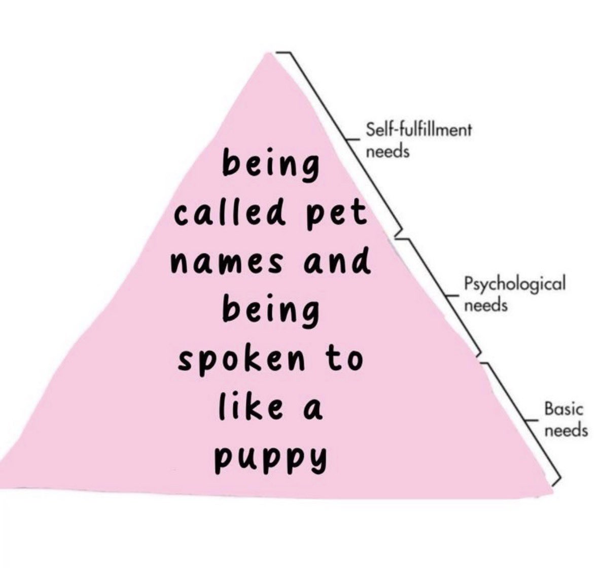 𐂯 your mutt 𐂯 tweet media