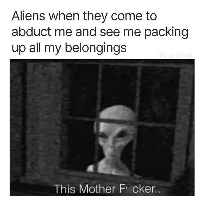 Red Reign tweet media