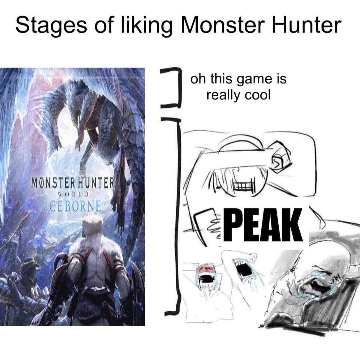 Monster Hunter Jhokes tweet media