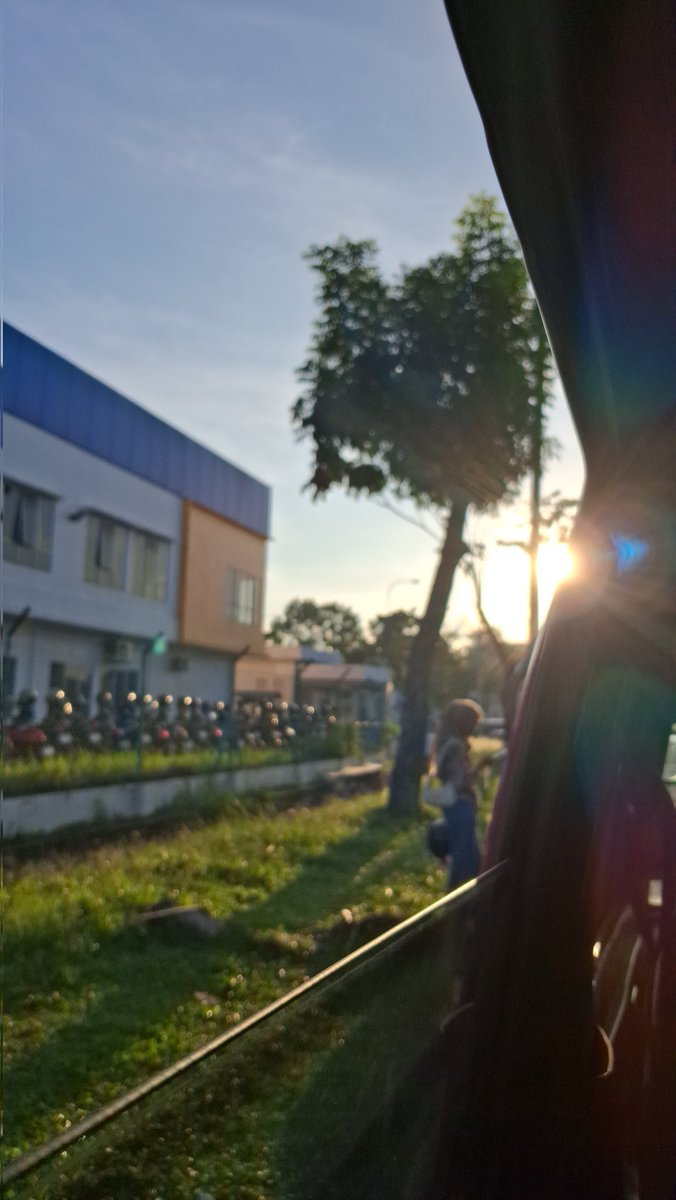 Last&amp;sunny day🌞