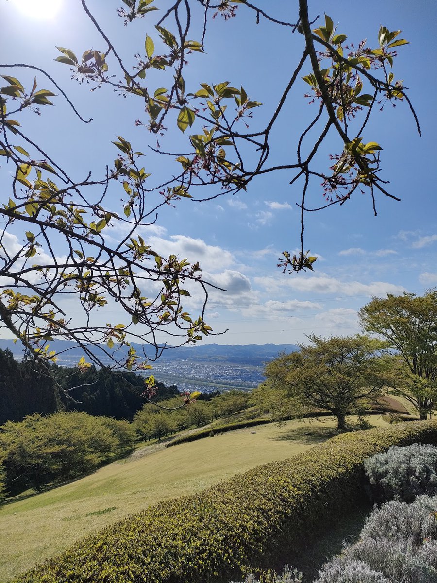 ShibataInfo's tweet photo. おはようございます、 全国ニュースなどでも話題になっておりますが、町内での熊の目撃情報などもあり警戒を強めておりますが、現時点で園地内での目撃情報はございません。 今後も収集、提供を強化してまいります。
本日の太陽の村は通常営業です https://t.co/qKQ9THwcYA
