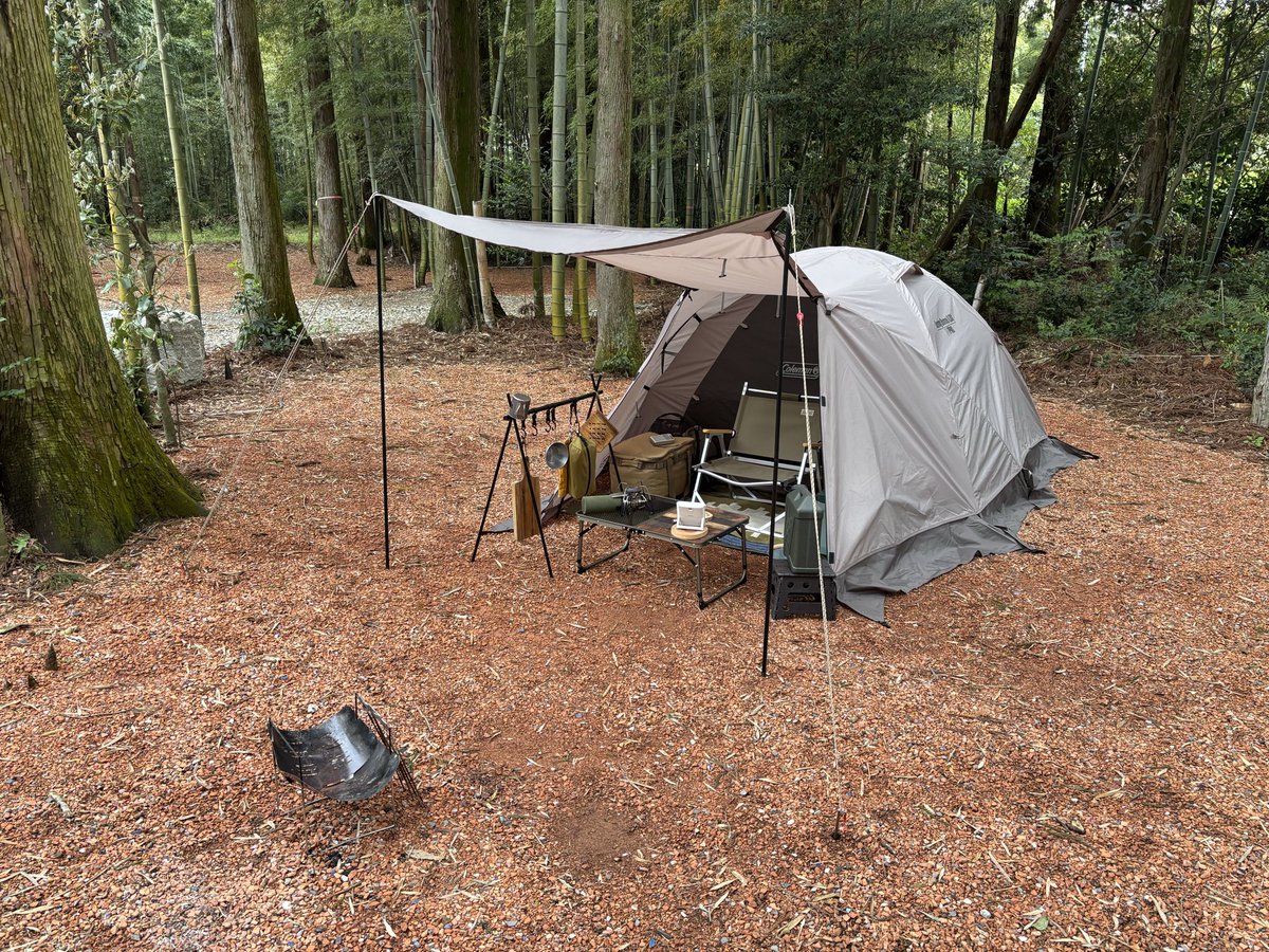 hidemaro2011's tweet photo. 竹の林間サイトが良き✨
🎋🌲🏕️🎋🌲
＃俺たちのキャンプ場 https://t.co/isjrsxWBW8