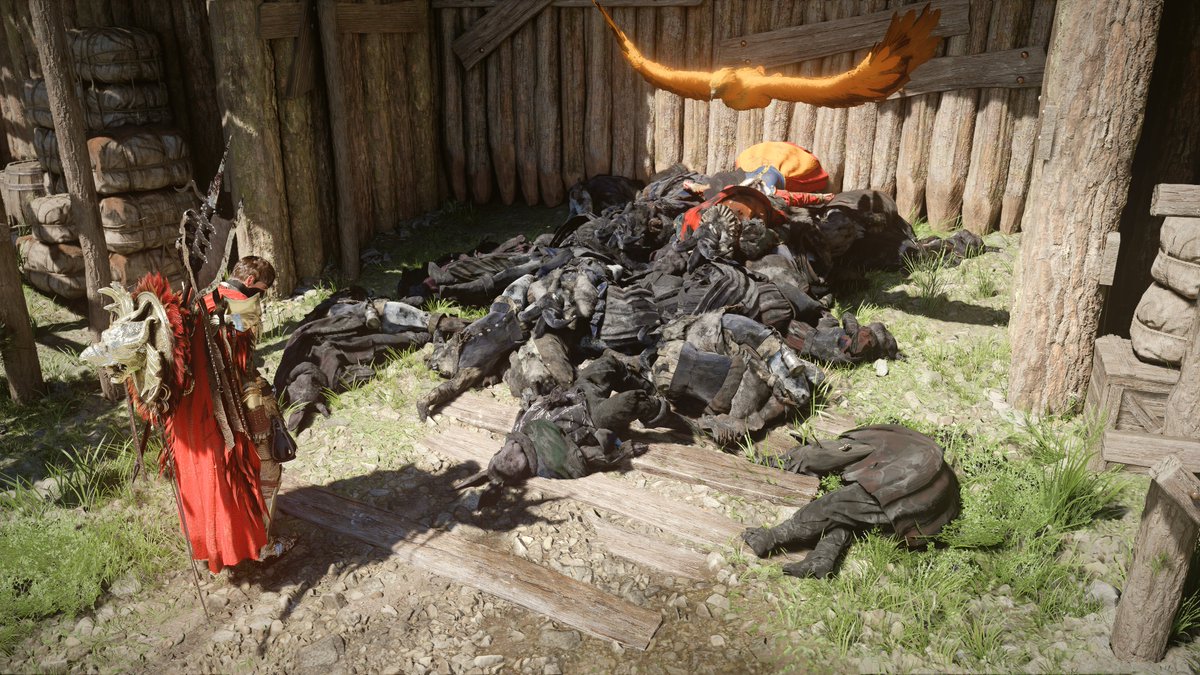 ピピ🐻 tweet media