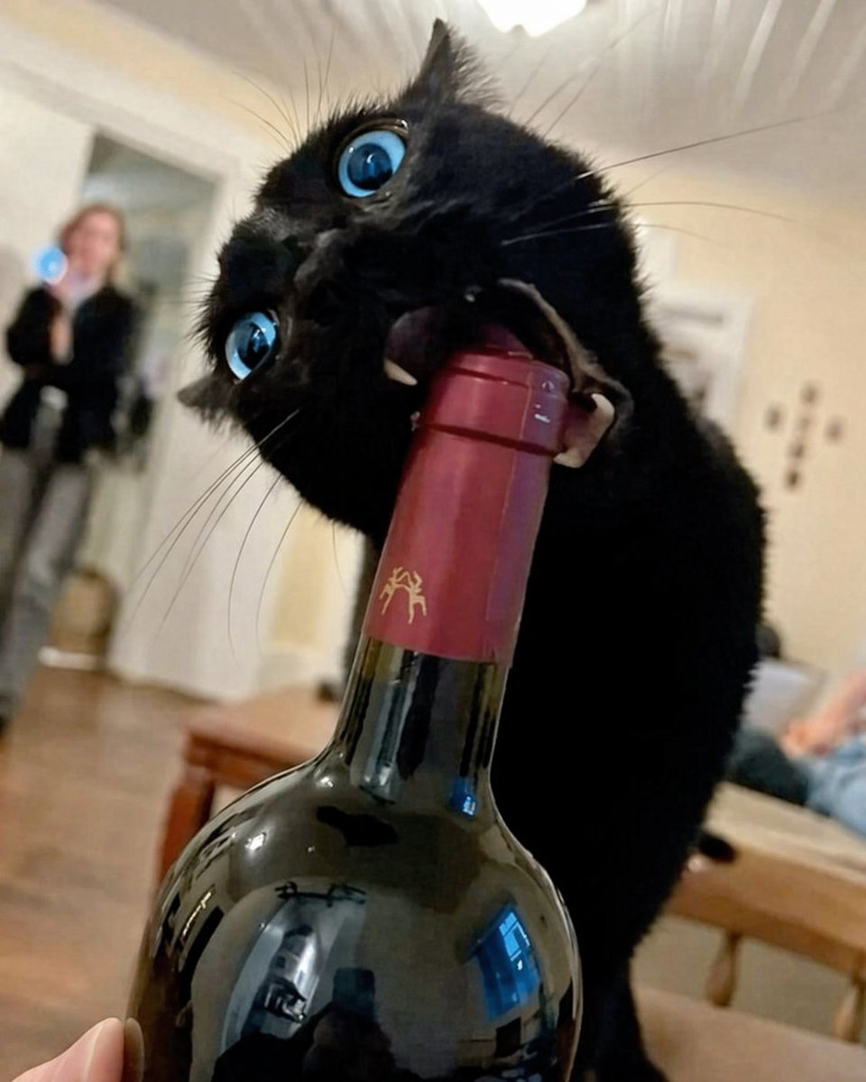 Keigo. 𖦹 tweet media