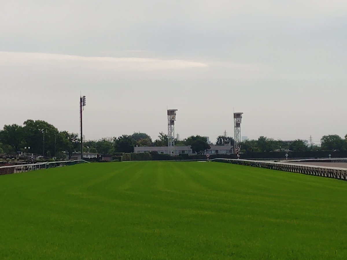 moneyphoenix's tweet image. みんなー
おはよ～

今日もいちにち
がんばろーね～

#東京競馬場
#ビギナーズセミナー
#Unofficial
#非公式