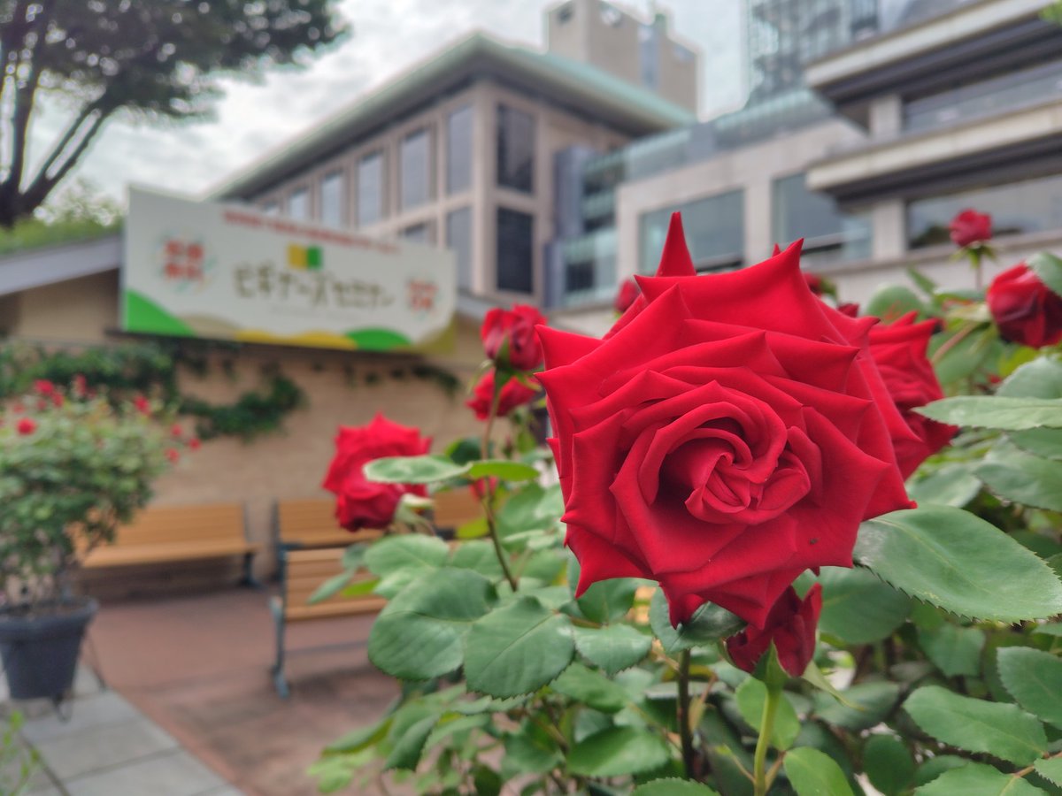 moneyphoenix's tweet image. みんなー
おはよ～

今日もいちにち
がんばろーね～

#東京競馬場
#ビギナーズセミナー
#Unofficial
#非公式