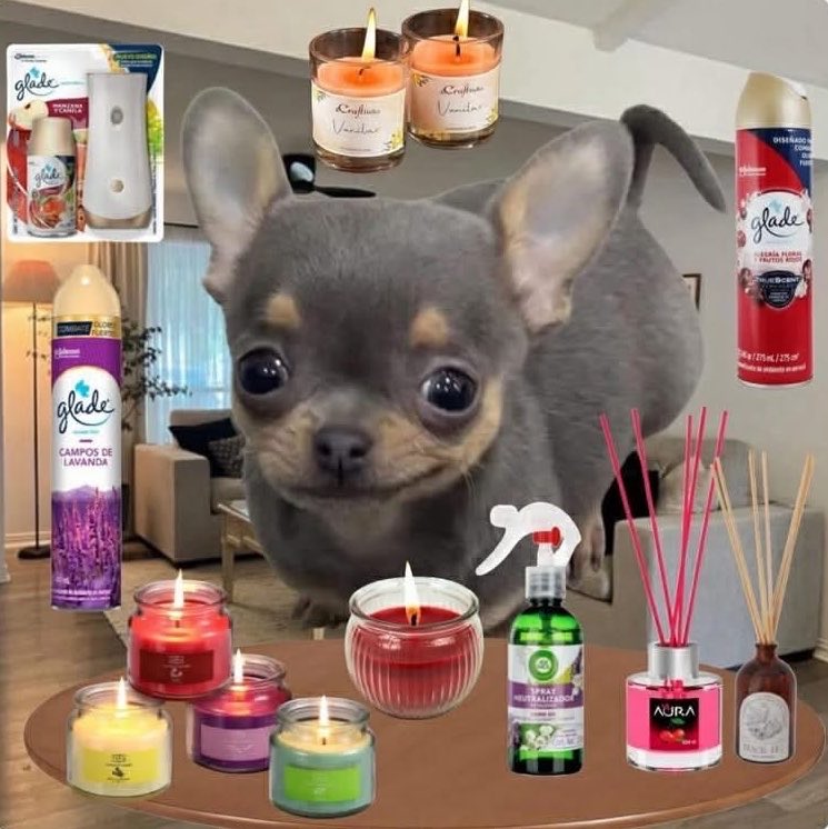 Un día eres joven y al otro quieres que tu casa siempre huela rico.