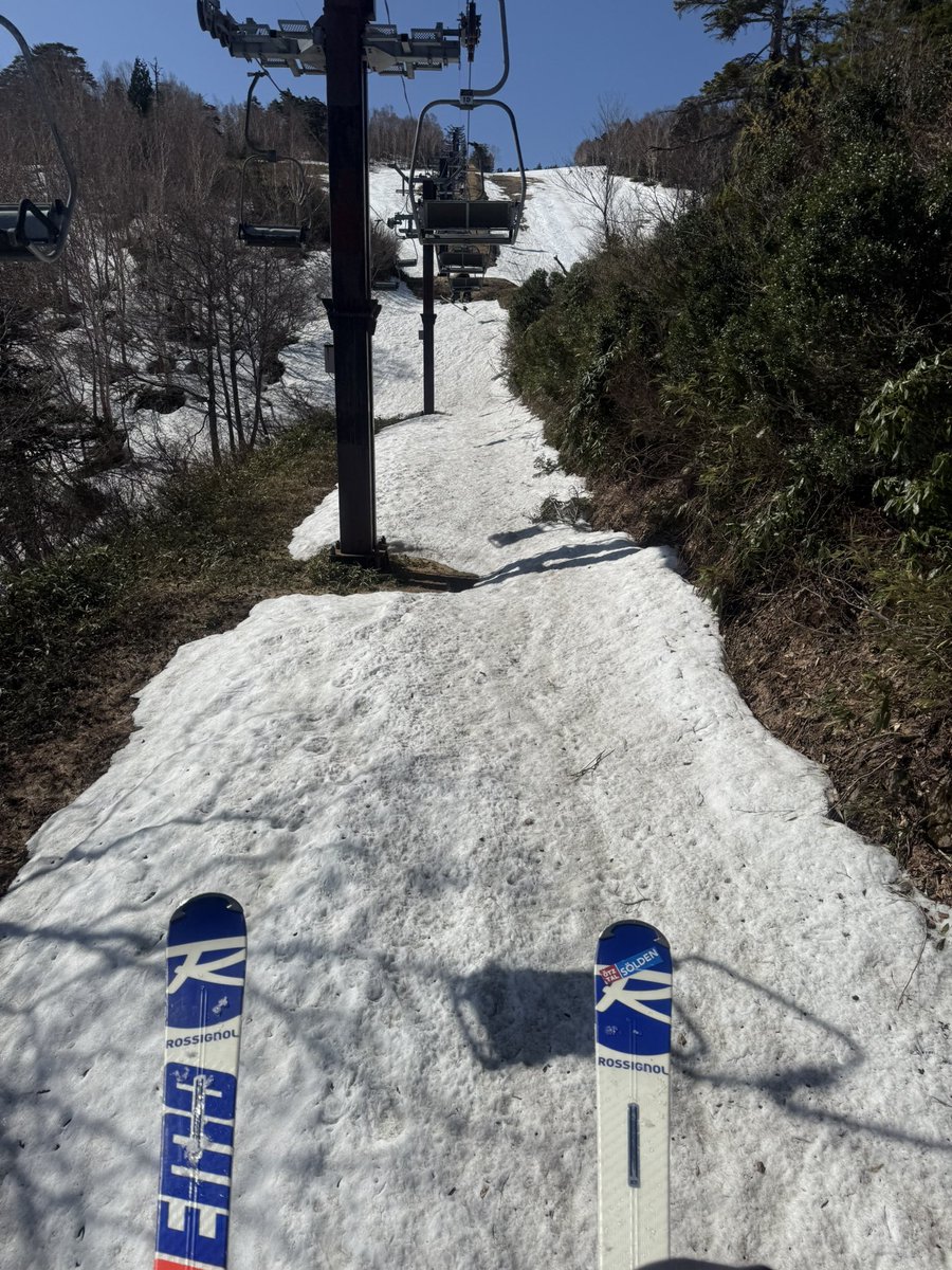 Kaho🍈 tweet media