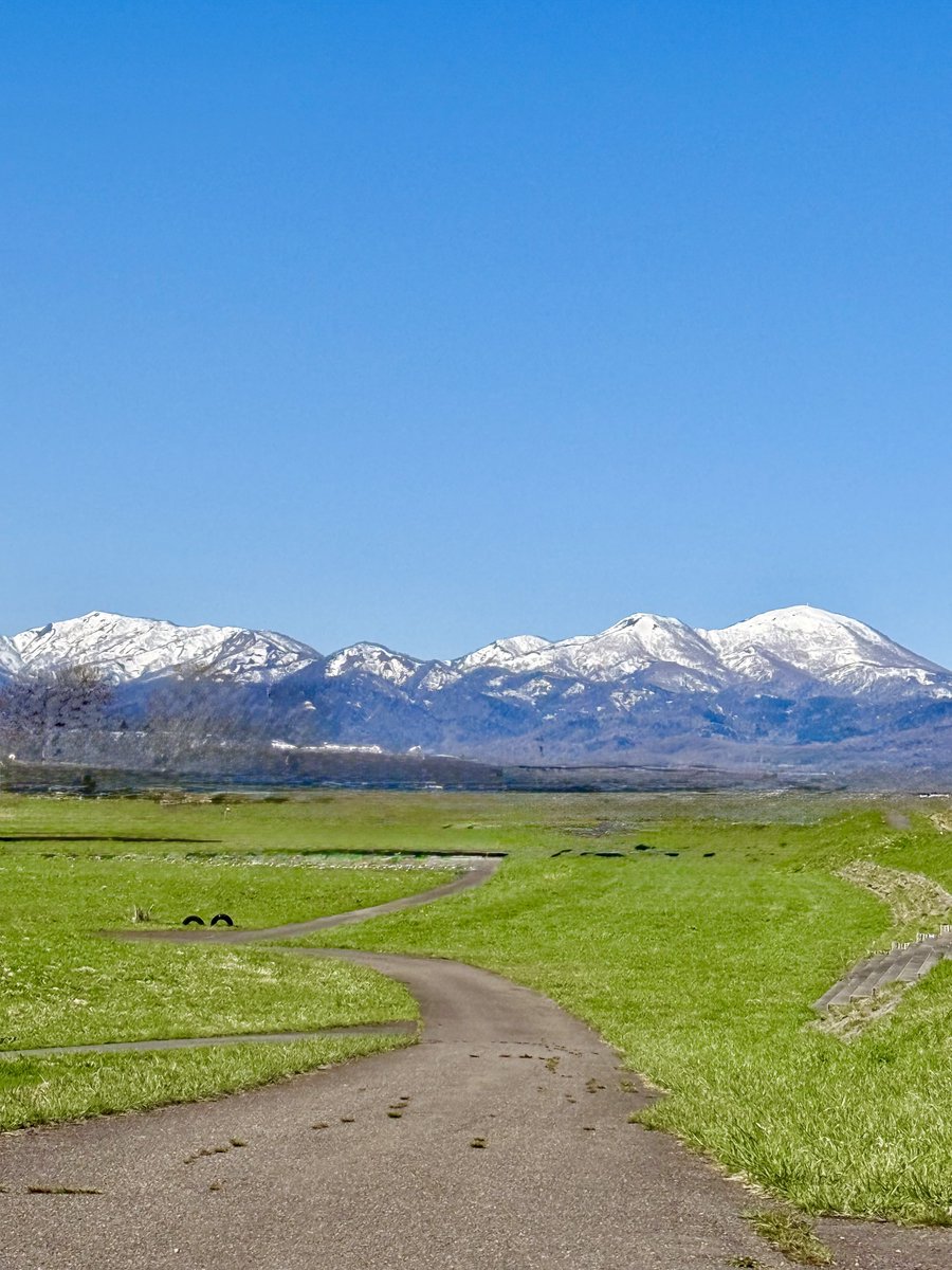 株筋まっしゅ/米株狂🇺🇸 tweet media