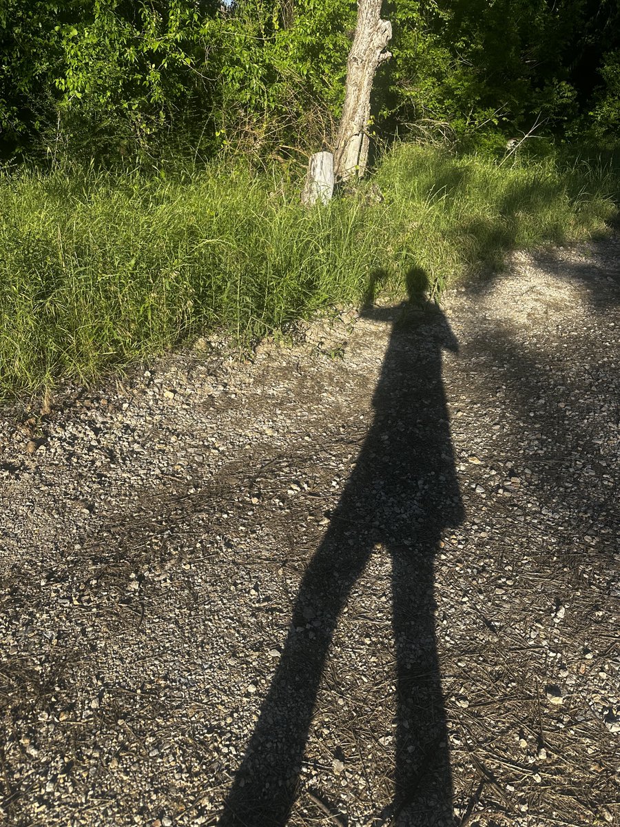 Sonet_de_vino tweet media