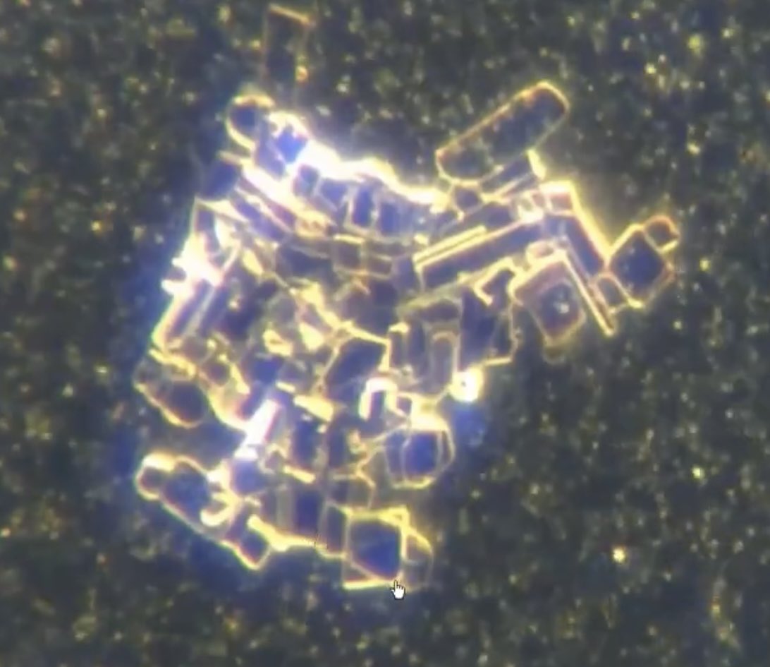 henry_bron's tweet image. You have a gut full of smart Dust

Central nervous system take over

For health and safety

#IOT
TransHuman 
#Noticingthechemtrails40yearstoolate