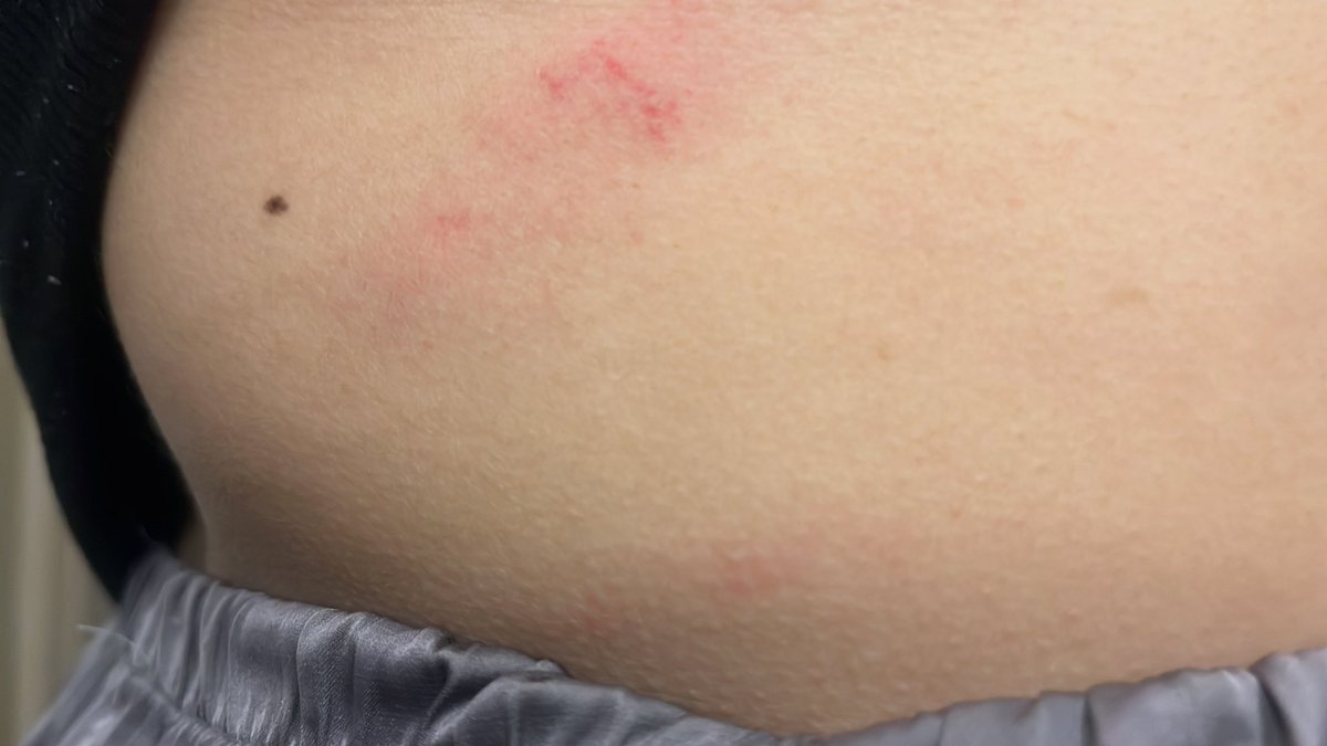 catsita ໑̣ INTERACTUE CON LOUIS tweet media