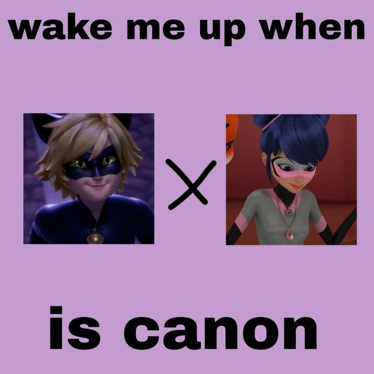 lala 🐈‍⬛ tweet media