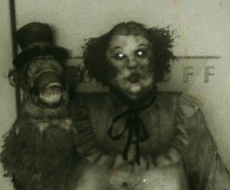 annie nannie 🩷🌷 tweet media