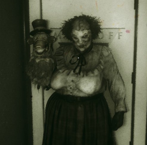 annie nannie 🩷🌷 tweet media