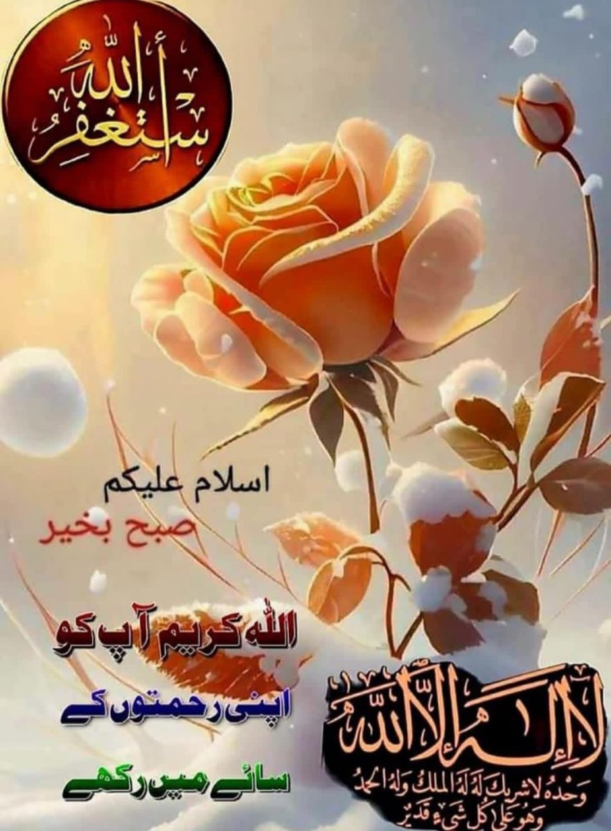 Shahid Hussain official account tweet media