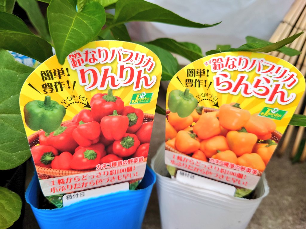 とりあえずこの4種類😌
残りはGW中にまとめて買おう〜💸